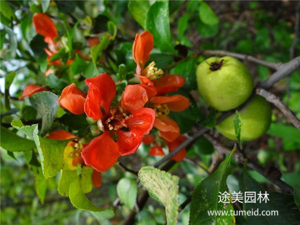 http://www.hbsfmj.cn/ch/30.html