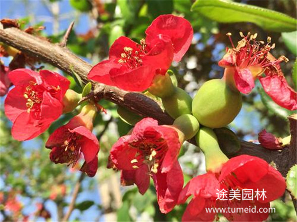 http://www.hbsfmj.cn/ch/30.html
